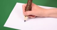 Vervolgdag Tweedaags Breinonderwijs