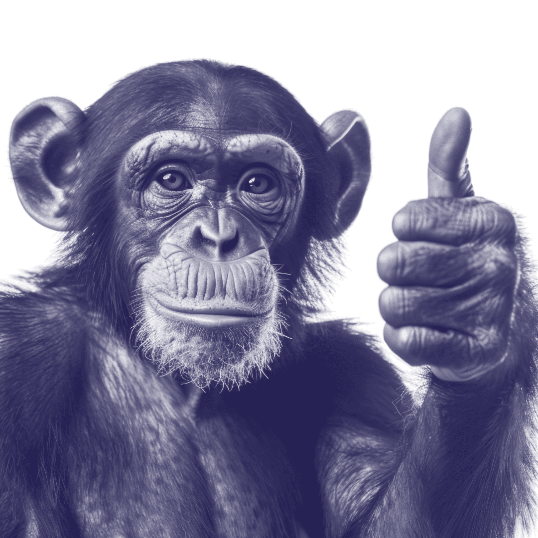 monkey duim omhoog